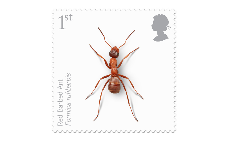 Endangered Insects stamps