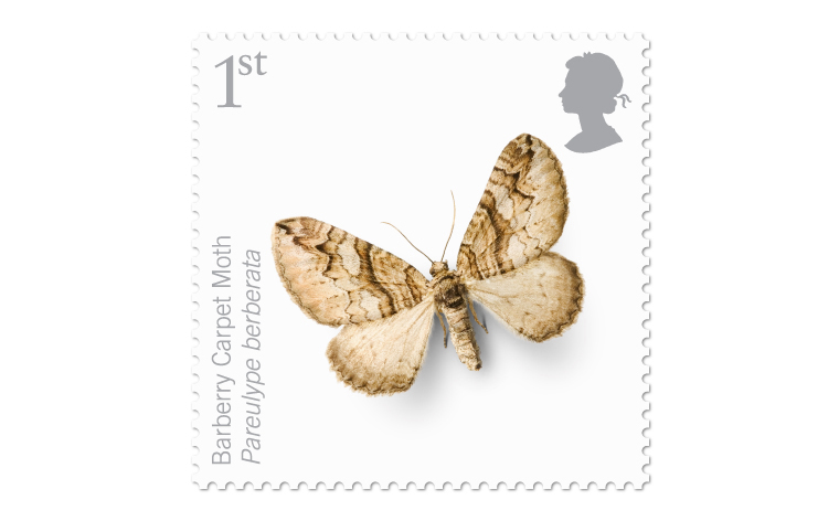 Endangered Insects stamps